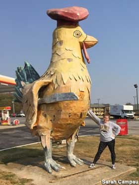 ca dao gà cùng một mẹ chớ hoài đá nhau ca dao gà cùng một mẹ chớ hoài đá nhau
