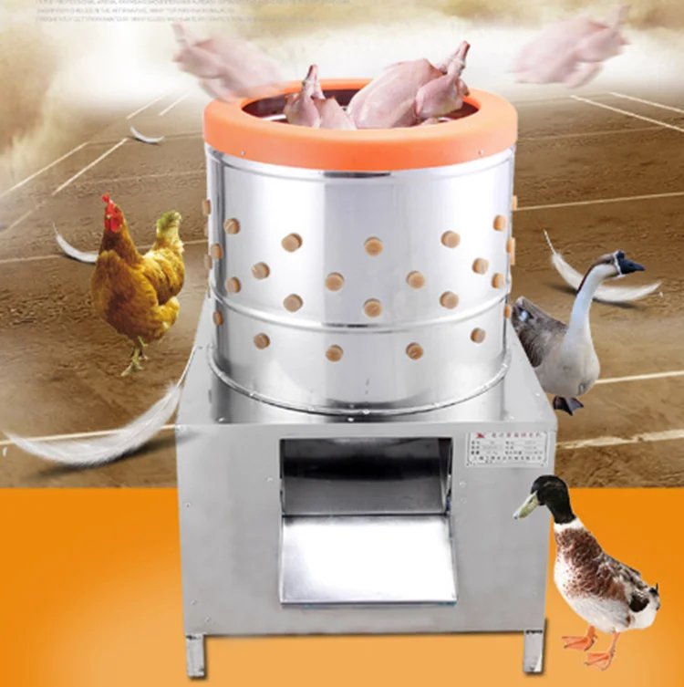 bán gà đá tiền vip bán gà đá tiền vip