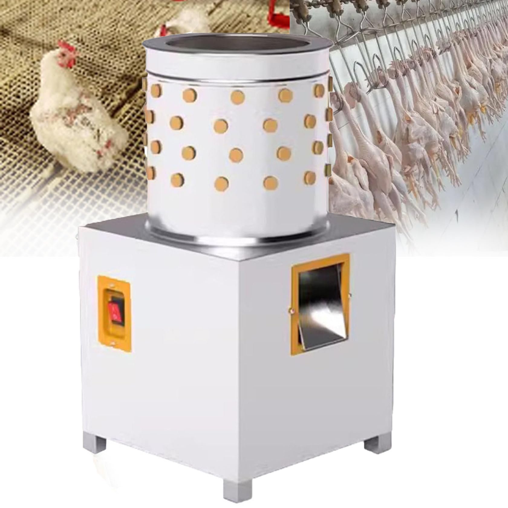 gà đá mé hầu,Đặc điểm ngoại hình gà đá mé hầu,Đặc điểm ngoại hình