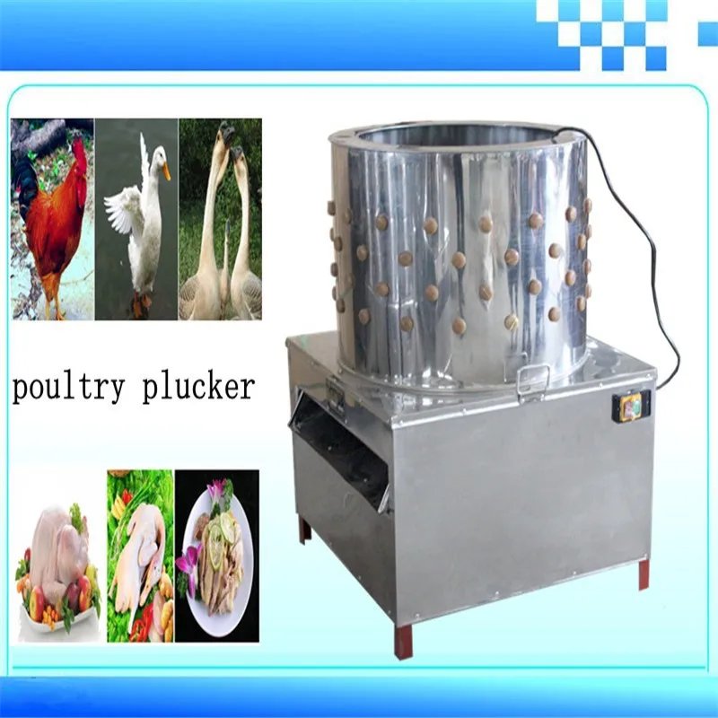 đá gà hay nhất thomo đá gà hay nhất thomo
