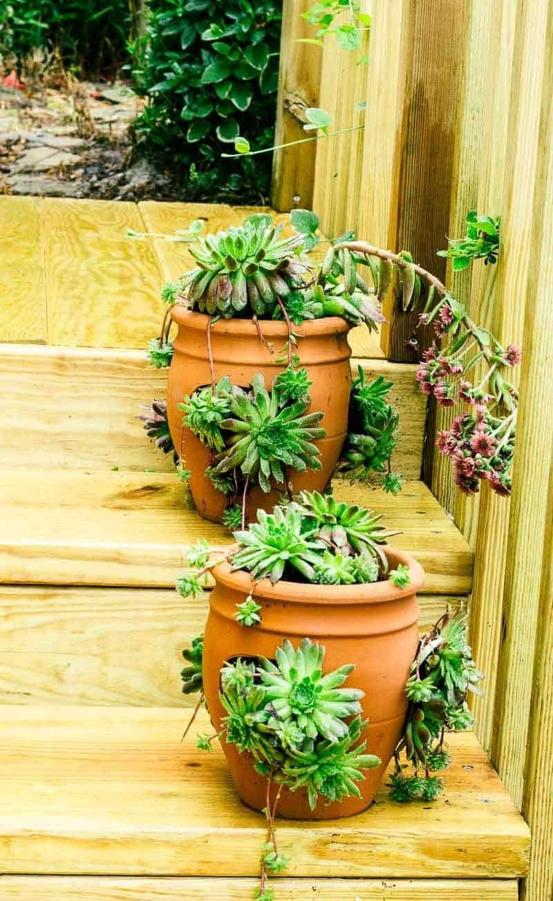 đá gà thomo ngày 10 tháng 12,Giới thiệu về Thomo đá gà thomo ngày 10 tháng 12,Giới thiệu về Thomo