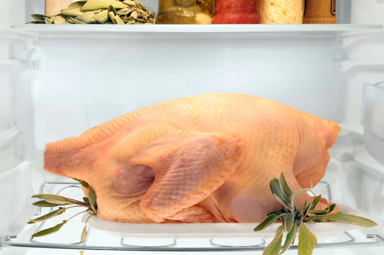 đá gà đòn phú yên đá gà đòn phú yên