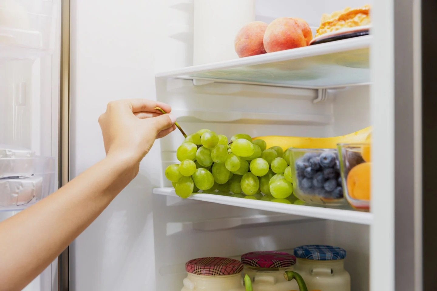 đá gà cựa sắt info,Đá gà cựa sắt – Thông tin chi tiết và giới thiệu đá gà cựa sắt info,Đá gà cựa sắt – Thông tin chi tiết và giới thiệu