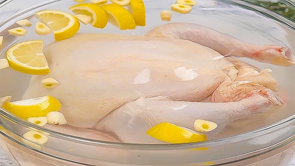 đá gà trực tiếp 67 lag đá gà trực tiếp 67 lag