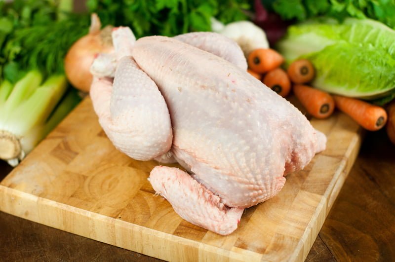 đá gà trực tuyến mới nhất đá gà trực tuyến mới nhất