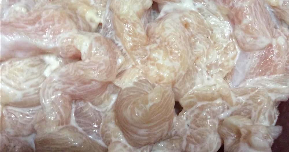 bắt đá gà ở trà vinh bắt đá gà ở trà vinh