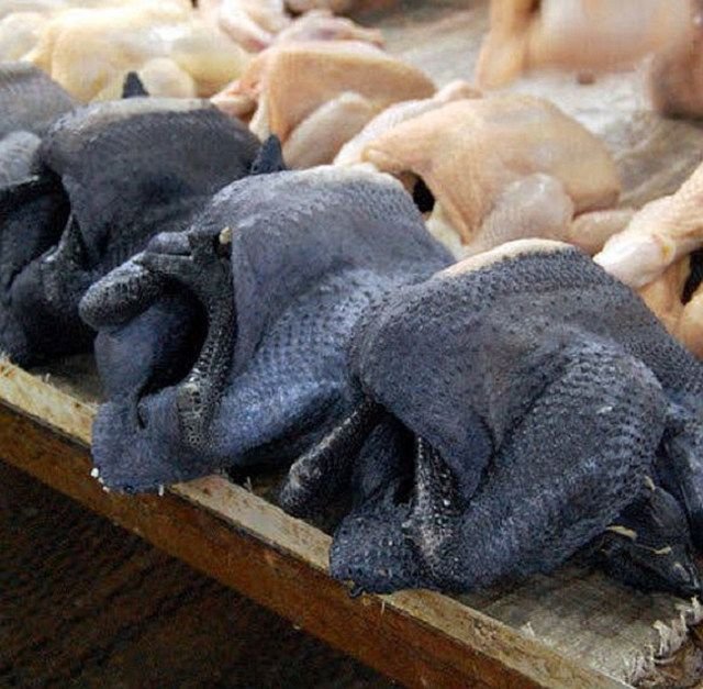 đá gà cựa sắt tiền lớn,Đá gà cựa sắt: Tiền lớn và Cuộc chiến Đen tối đá gà cựa sắt tiền lớn,Đá gà cựa sắt: Tiền lớn và Cuộc chiến Đen tối