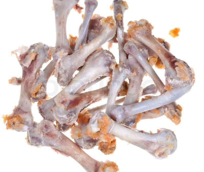 đá gà thomo ngày 9 tháng 8 đá gà thomo ngày 9 tháng 8