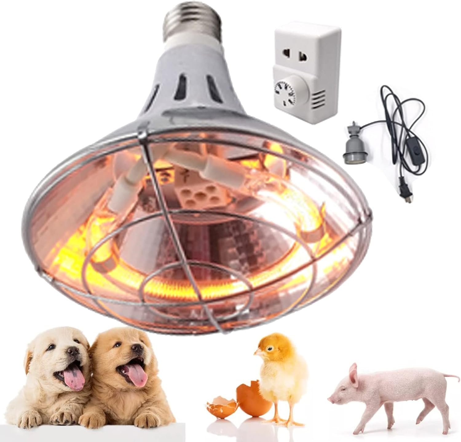 Khám phá bí quyết chế biến món gà đá kho nức lòng