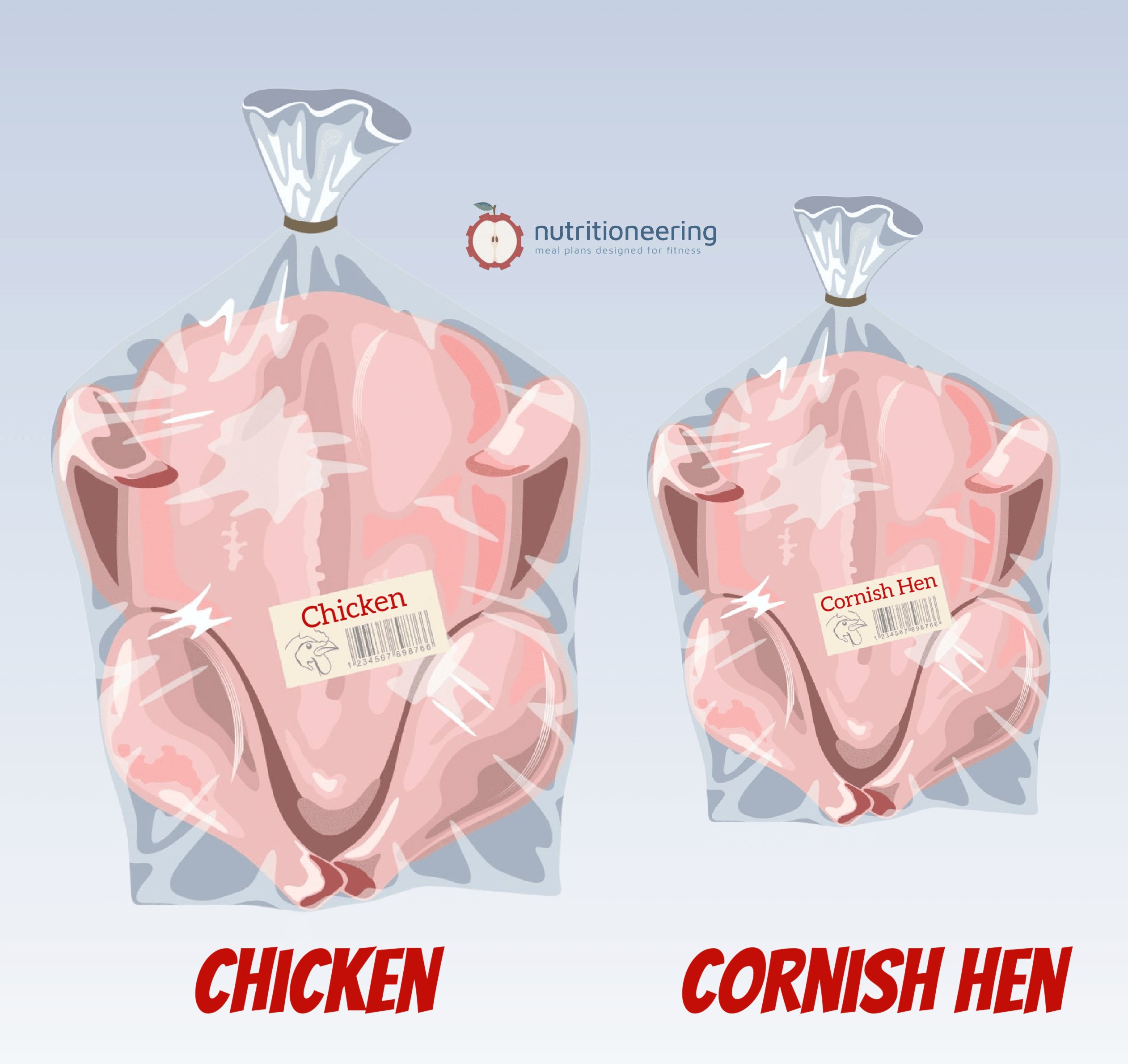 Những trận đấu đá gà kịch tính diễn ra hôm nay, ngày 30/11